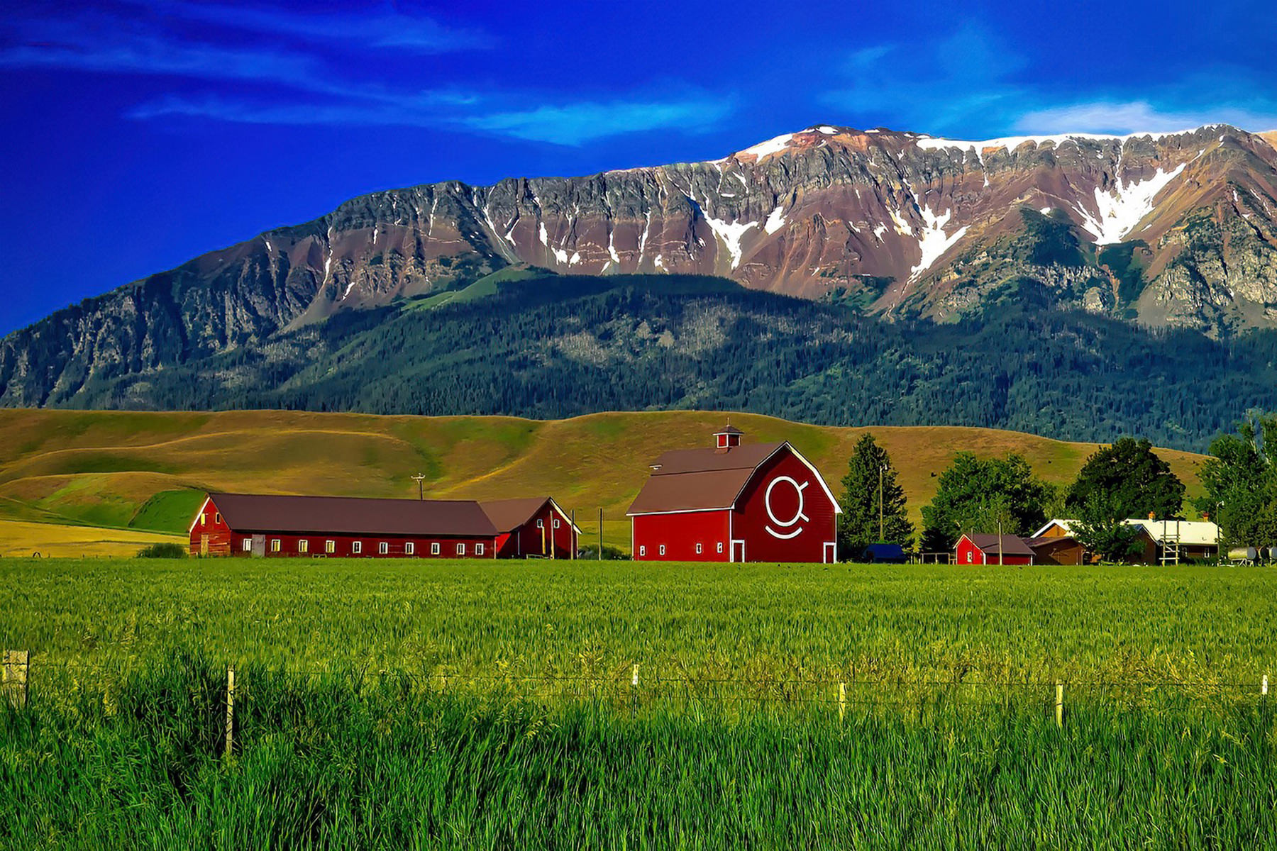 Backgrounds290