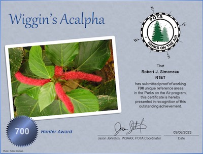 N1ET_POTA_Wiggins_Acalypha_Hunter