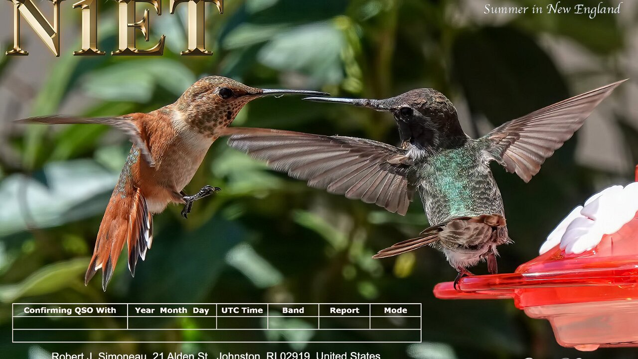 Hummingbirds